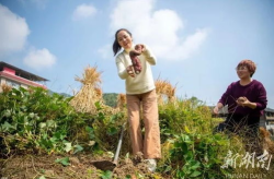 邵阳乡亲小姐姐,传承乡愁，绽放青春风采